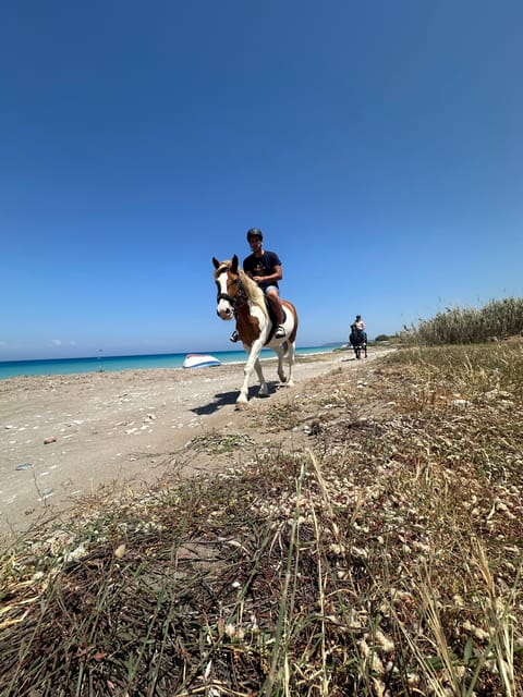 Rhodes: Horseback Riding Trip with Digital Photos - The morning countryside route beneath olive trees