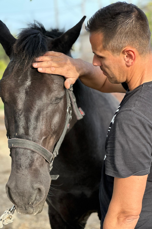 Rhodes: Horseback Riding Trip with Digital Photos - The sunset route to the beach