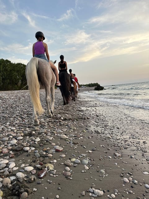 Rhodes: Horseback Riding Trip with Digital Photos - A good choice for first-time riders