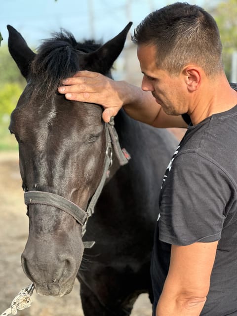 Rhodes: Horseback Riding Trip with Digital Photos - The photographs are a useful extra