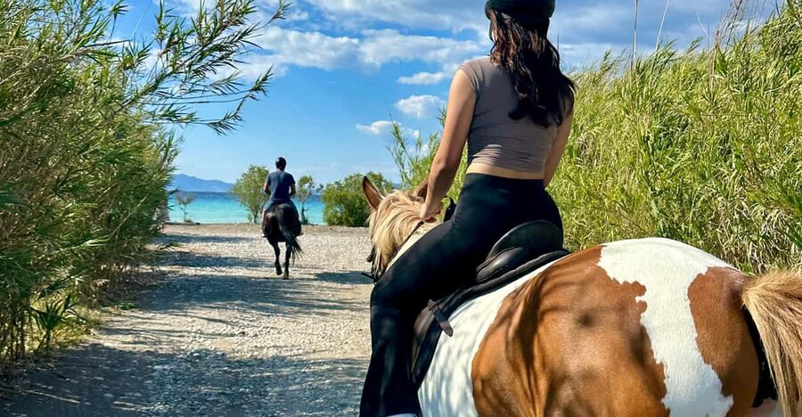 Rhodes: Horseback Riding Trip with Digital Photos - Meeting the horses at NivaRanch