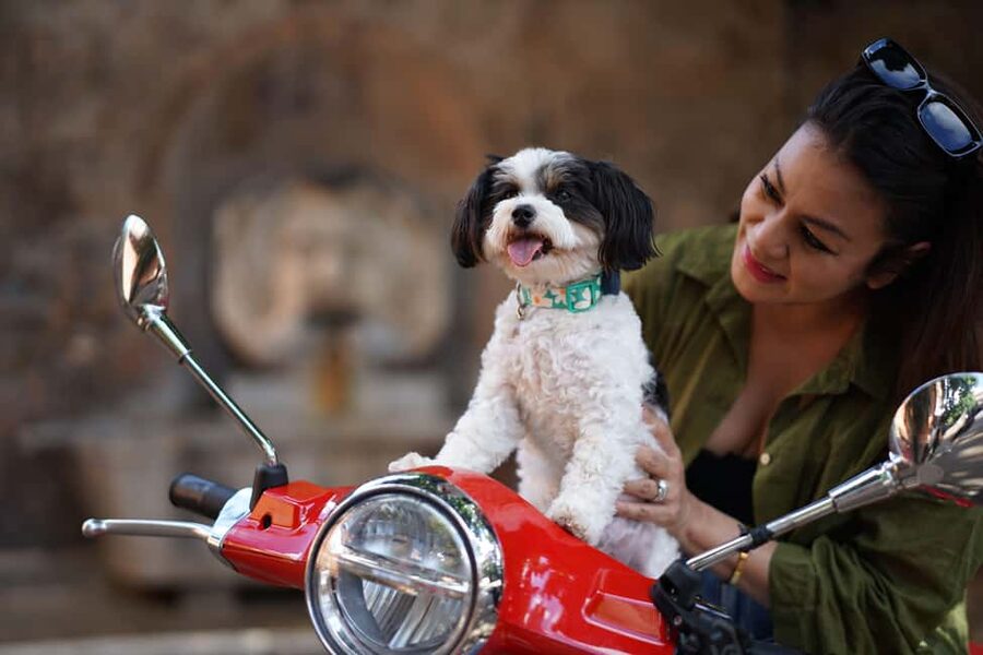 Rome: Guided Vespa Experience with Professional Photoshoot - What the $50 price really covers