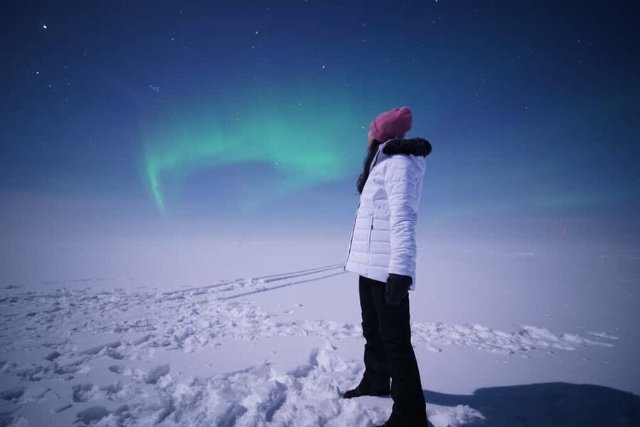 Rovaniemi: Aurora Hunt - Free Photos, 100% Guaranteed Refund - Why the professional photos matter