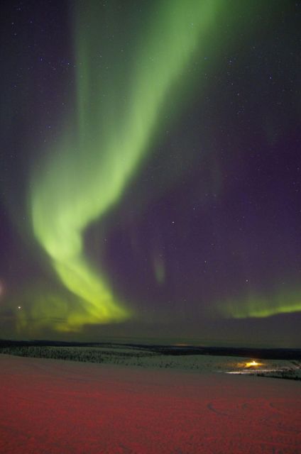 Rovaniemi: Aurora Hunting Photography Tour(98% Success Rate) - Firelight, sausages, and a very Finnish pause