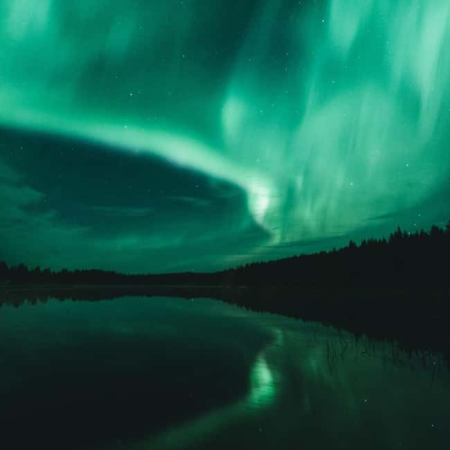 Rovaniemi: Aurora Hunting Photography Tour with BBQ Snacks - Key points to know before booking