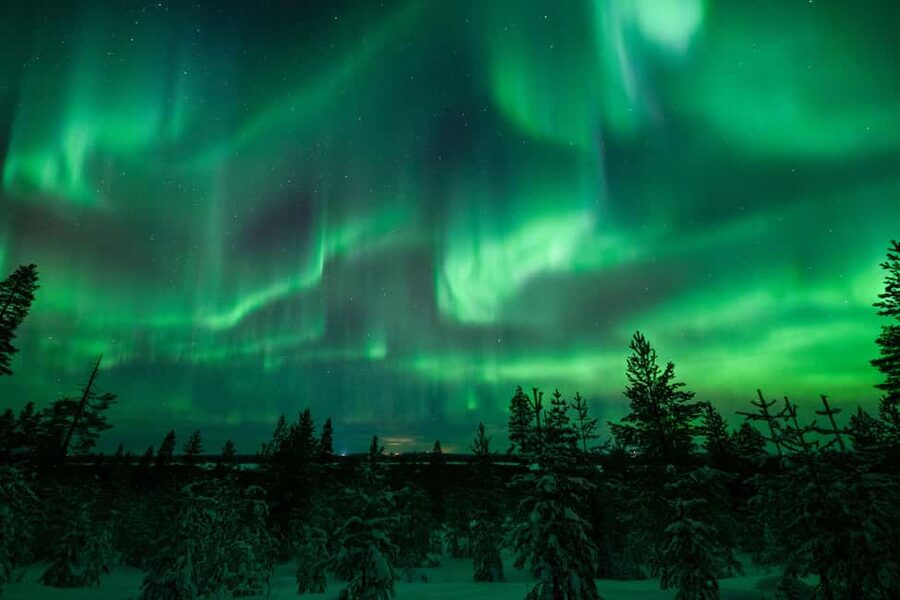 Rovaniemi: Best & Original Aurora Experience with Pro Photos - Comfort, cold, and the practical demands of the evening