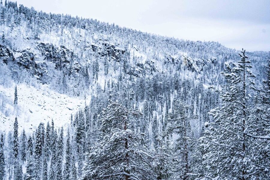 Rovaniemi: Frozen Waterfalls of Korouoma Canyon & Pro Photos - What the $159 price includes