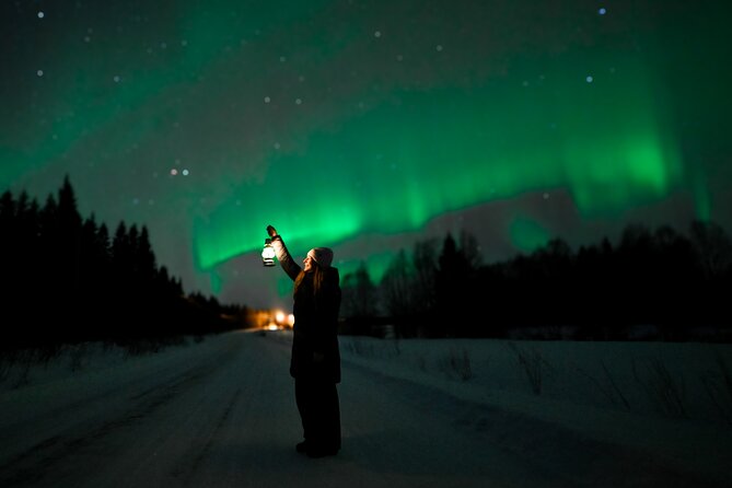 Rovaniemi: Guaranteed Northern Lights - Small Group & Photography - A small group changes the whole night