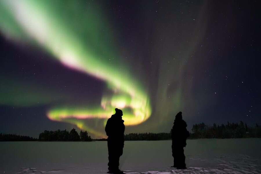 Rovaniemi: Guaranteed Ultimate Aurora Hunt with Photographer - Waiting under the Arctic sky
