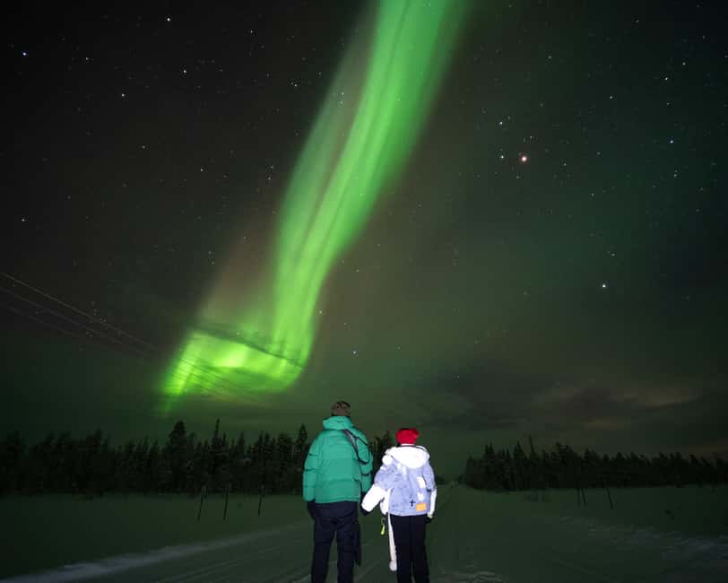 Rovaniemi: Insider Guaranteed Northern Lights Tour + Photos - What the $234 price buys you