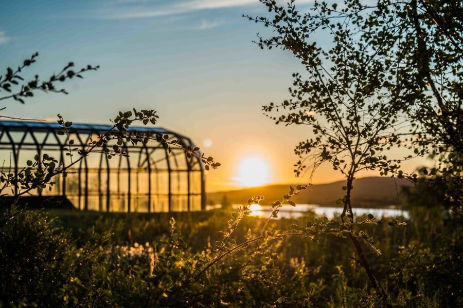 Rovaniemi: Midnight Sun Photography Tour - Second viewpoint: two hours by forest, river, and fire
