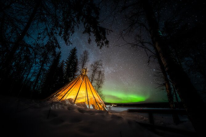 Rovaniemi Northern Lights Photography Small-Group Tour - Fire, sausages, and the human side of the evening