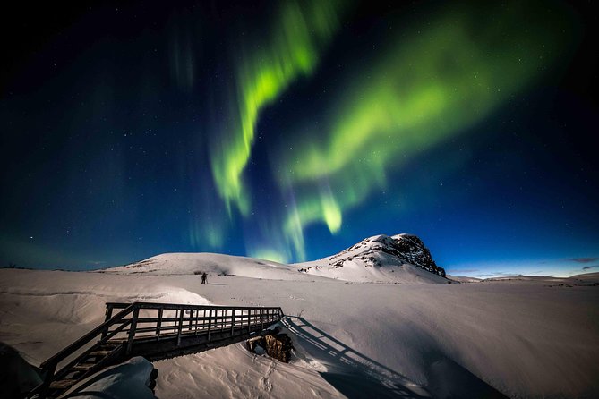 Rovaniemi Northern Lights Photography Small-Group Tour - Cold-weather comfort in temperatures near minus 20 degrees