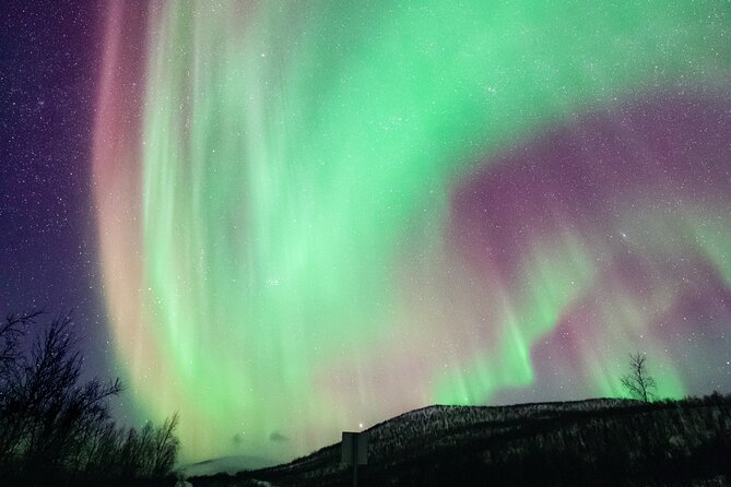 Rovaniemi: Northern Lights Pro Guaranteed - Unlimited (PRIVATE) - Chasing clear skies beyond Rovaniemi