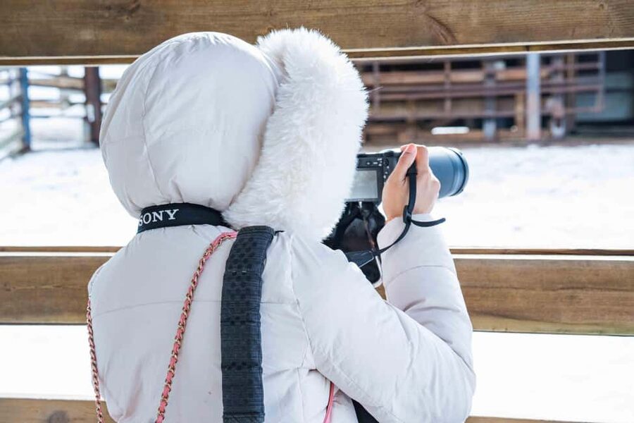 Rovaniemi: Ranua Wildlife Park guided tour with Pro Photos - The conservation side of the visit
