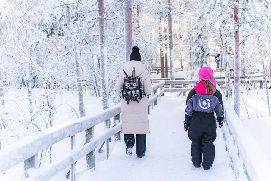 Rovaniemi: Ranua Wildlife Park guided tour with Pro Photos - Warm clothing, minivan transport, and what the $100 covers