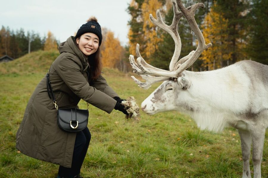 Rovaniemi: Reindeer Farm Visit with Photographer - Why this reindeer farm feels more personal