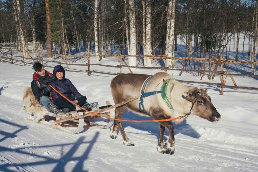 Rovaniemi: Reindeer Farm Visit with Photographer - Warming up beside the fire