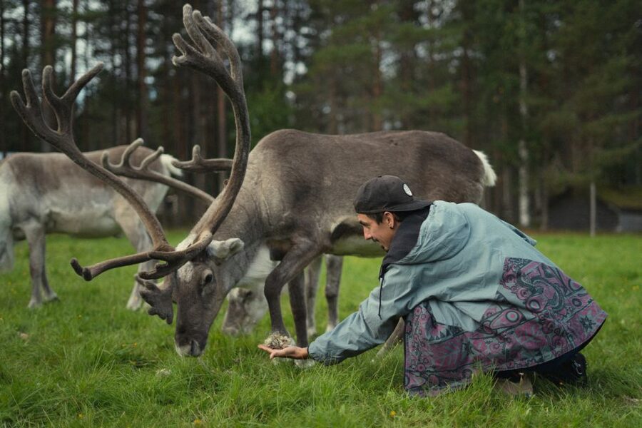 Rovaniemi: Reindeer Farm Visit with Photographer - How the $139 price holds up