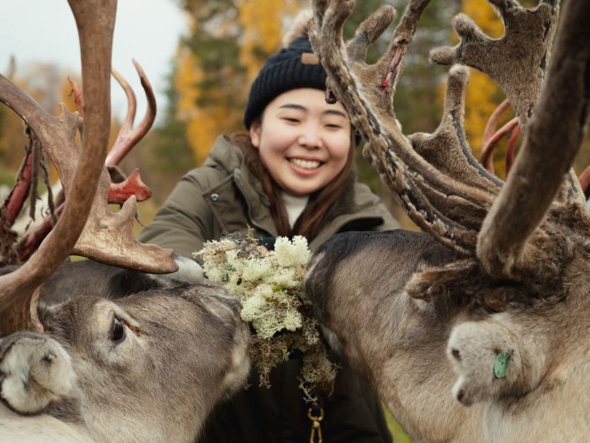 Rovaniemi: Reindeer Farm Visit with Photographer - Practical tips for a better visit