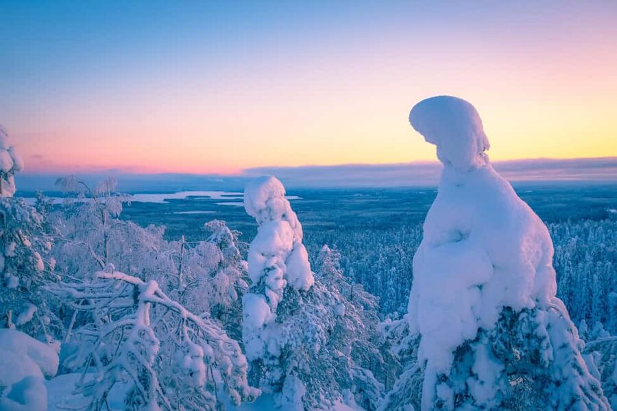 Rovaniemi: Riisitunturi Guided Hike with Photography and BBQ - The Two-Hour Drive from Rovaniemi