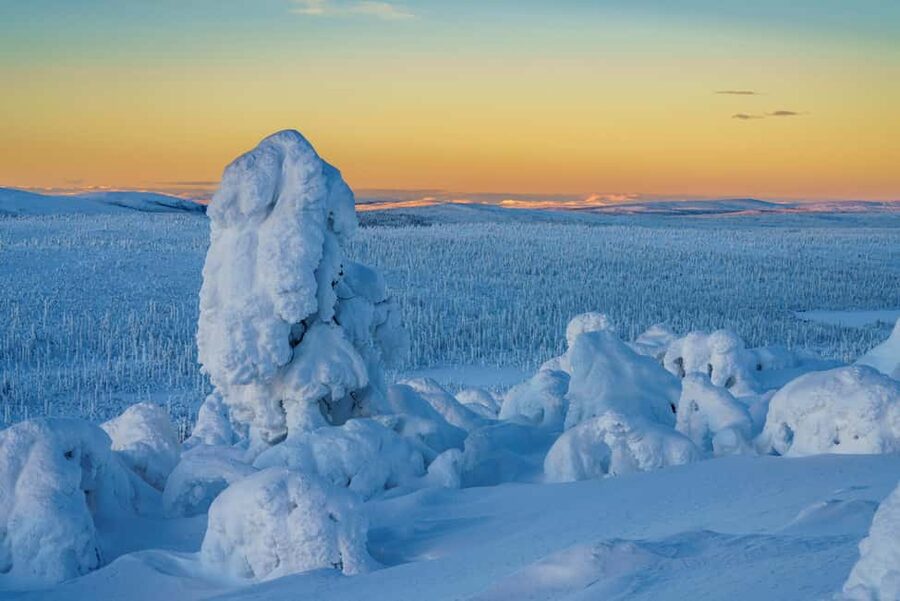 Rovaniemi: Riisitunturi Guided Hike with Photography and BBQ - The BBQ Break and Warm Drinks