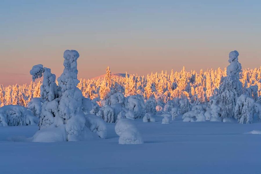 Rovaniemi: Riisitunturi Guided Hike with Photography and BBQ - Walking the 4.3-Kilometer Winter Route
