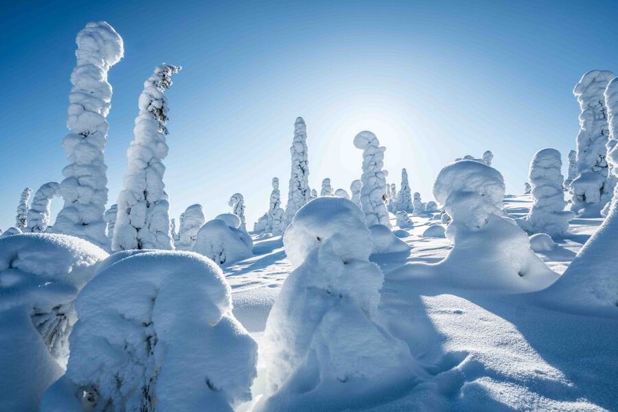 Rovaniemi: Riisitunturi National Park with Pro Photos & BBQ - Views from the fells and time to stop
