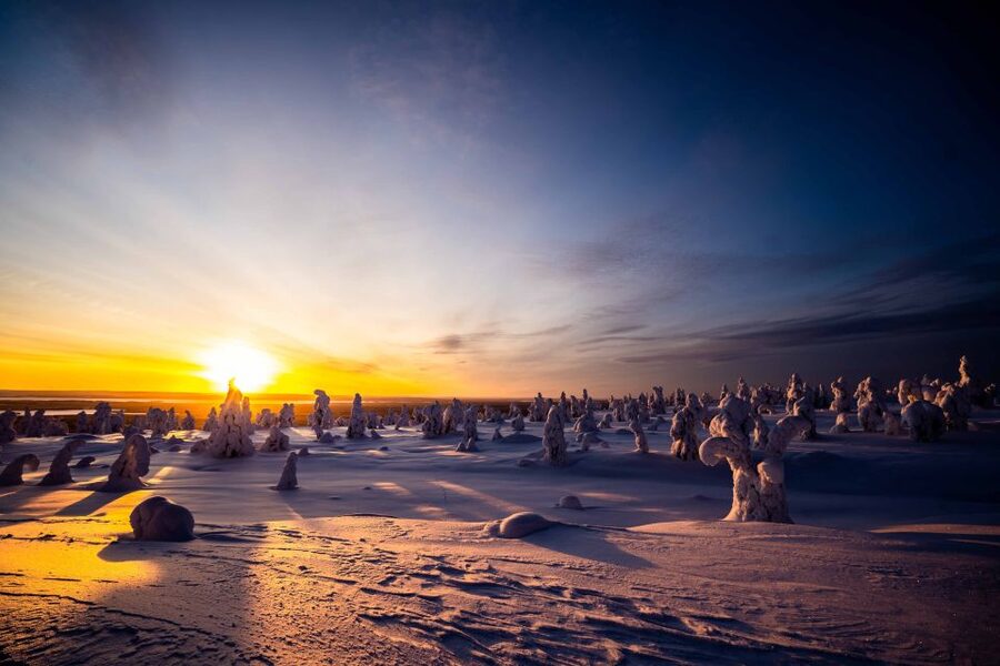 Rovaniemi: Riisitunturi National Park with Pro Photos & BBQ - A campfire lunch in the middle of the park