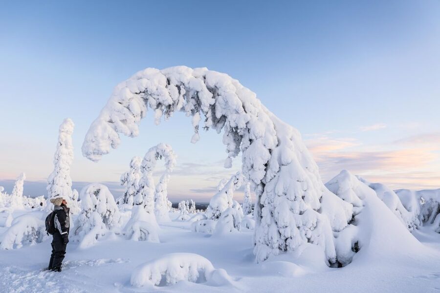 Rovaniemi: Riisitunturi National Park with Pro Photos & BBQ - Who will enjoy this day most