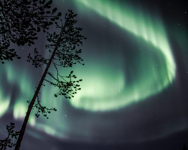 Saariselkä: Aurora Photo Tour by Car with Transfer & Drinks - Photography help and the included pictures