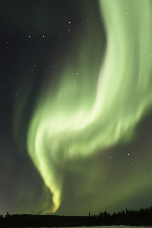 Saariselkä: Aurora Photo Tour by Car with Transfer & Drinks - Who should book this Saariselkä aurora tour?