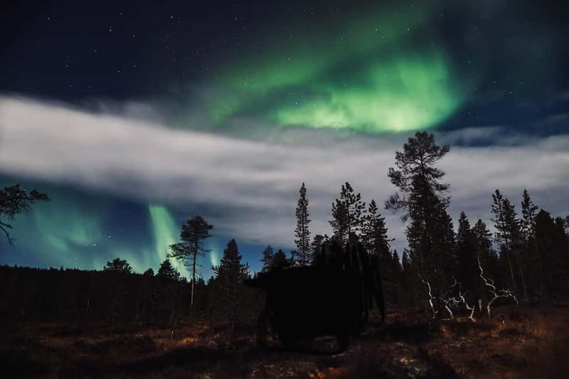 Saariselkä,Kakslauttanen: Aurora Hunting & Photography Tour. - Should you book the Saariselkä Aurora Hunting and Photography Tour?