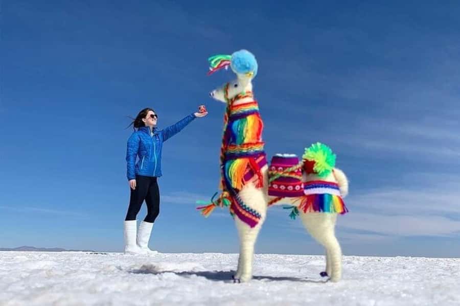 Salar de Uyuni 1 day + photo session + Sunset (English) - Why this one-day Salar de Uyuni trip works