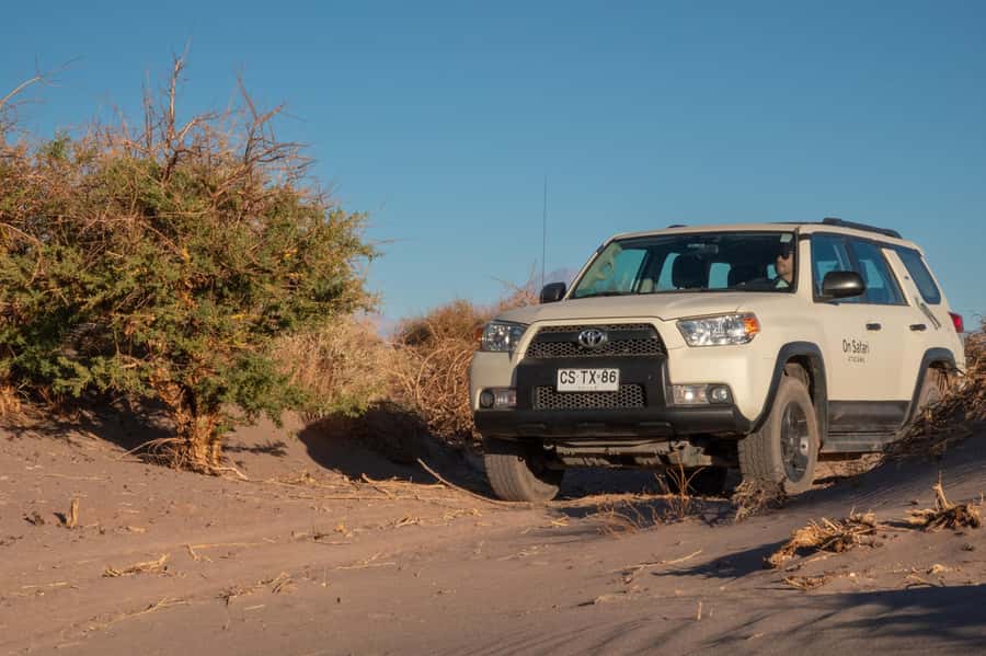 San Pedro de Atacama: Wildlife Safari and Photography Tour - The guide and the small-group advantage