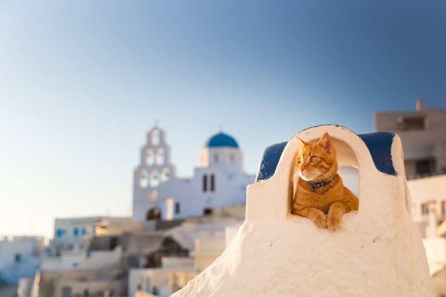 Santorini: Instagram Highlights Tour - Why this tour works for photographers and sightseers