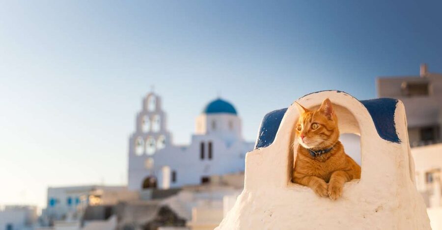 Santorini: Instagram Highlights Tour - Blue domes, volcanic beaches, and classic Santorini frames