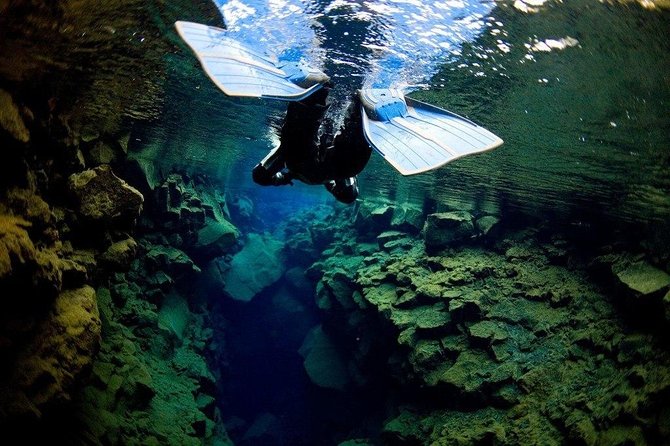 Silfra Fissure Snorkeling From Reykjavík - Free Underwater Photos - The free photos are useful, but quality can vary