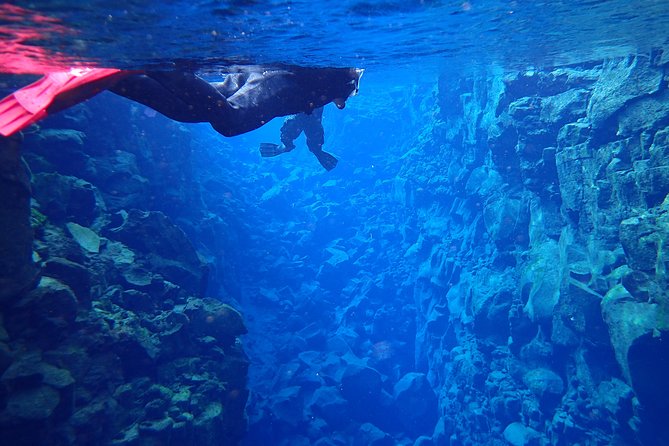 Silfra Fissure Snorkeling From Reykjavík - Free Underwater Photos - The small groups make a real difference