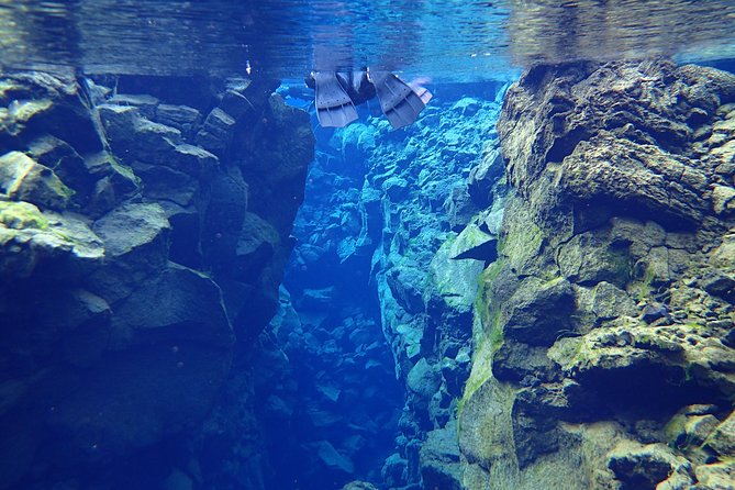 Silfra Fissure Snorkeling From Reykjavík - Free Underwater Photos - Who can take part, and who should skip it