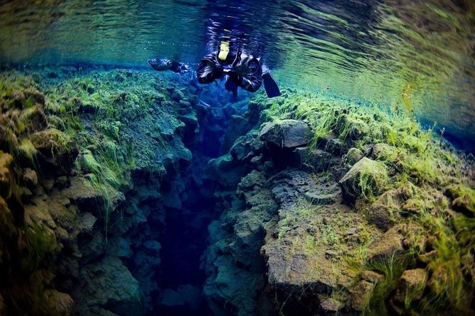 Silfra Fissure Snorkeling From Reykjavík - Free Underwater Photos - Is $211.72 a fair price?