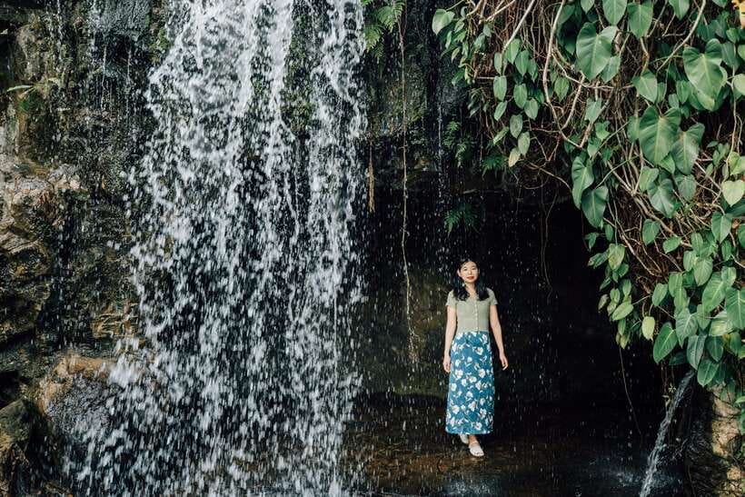 Singapore: Botanical Gardens Entry & Photography Session - Weather, clothing, and timing