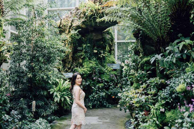 Singapore: Botanical Gardens Entry & Photography Session - Starting at Learning Forest on Cluny Road