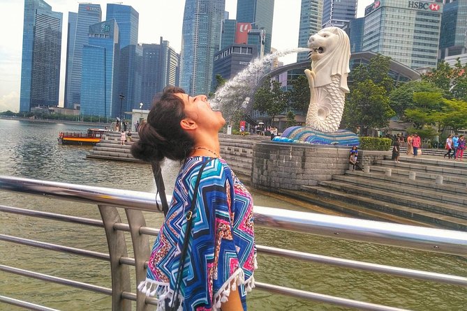 Singapore Instagram Tour By Car (Private & All-Inclusive) - Why this tour works well for first-time Singapore visitors
