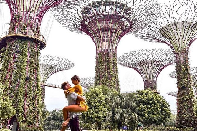 Singapore Instagram Tour By Car (Private & All-Inclusive) - The Merlion and Singapore’s classic postcard view