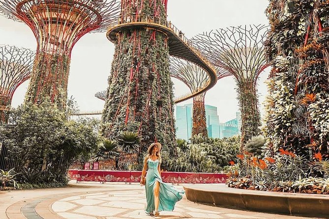 Singapore Instagram Tour By Car (Private & All-Inclusive) - Lunch, drinks, and the value of the private car