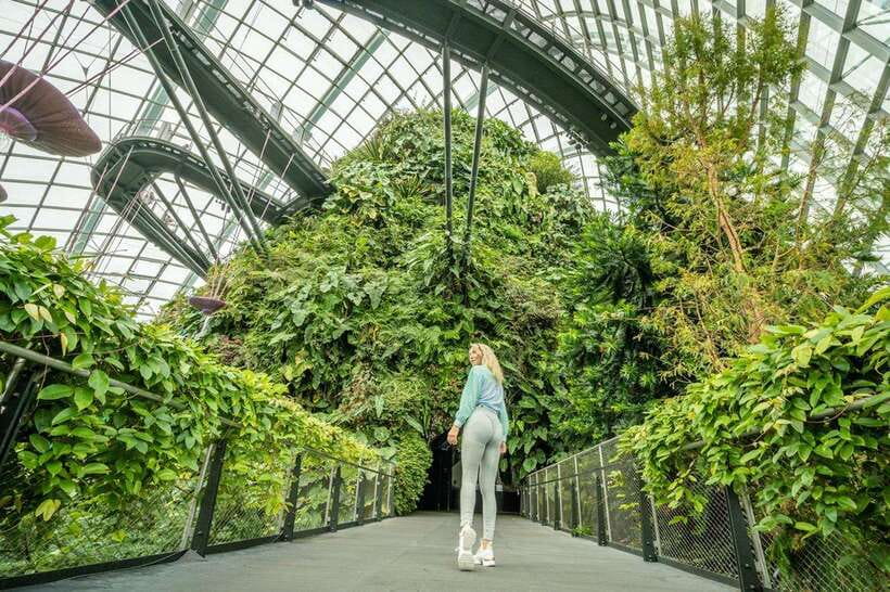 Singapore Photography: Marina Bay Sands & Gardens by the Bay - Gardens by the Bay and the Supertrees