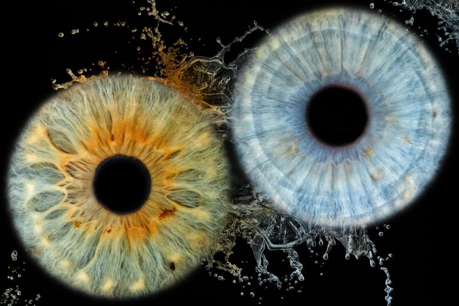 Siracusa Iris Photography Experience - Key points to know before booking