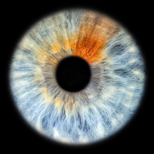 Siracusa Iris Photography Experience - A tiny universe in your eye
