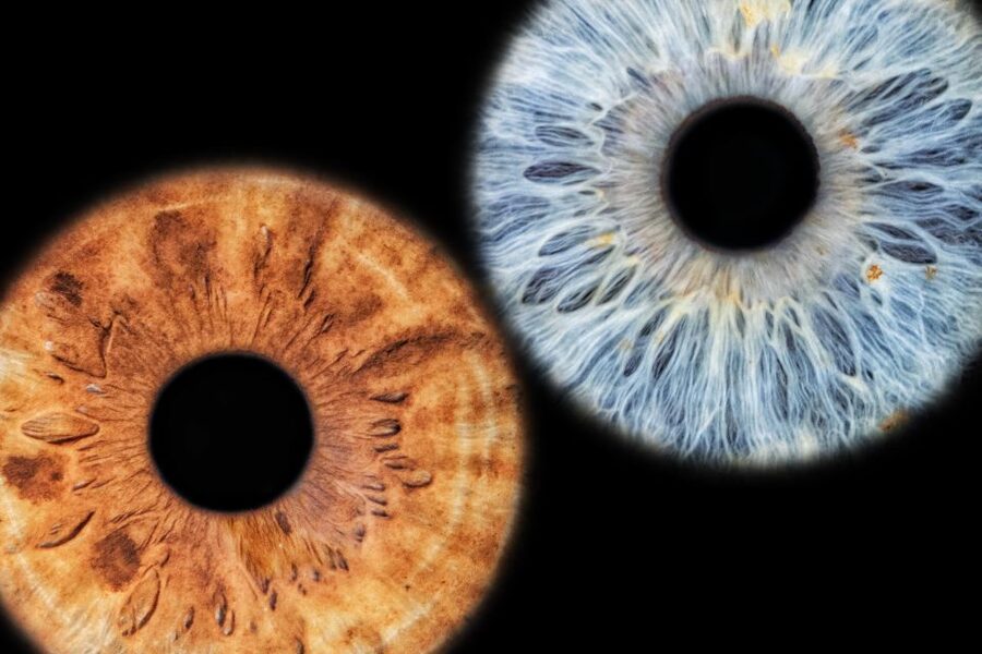 Siracusa Iris Photography Experience - Should you book the Syracuse iris photography experience?
